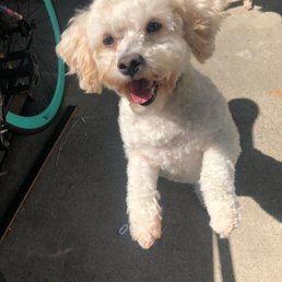 Coco Coco