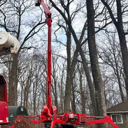 Patriot Tree Service