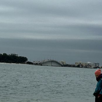 Encounter With Dolphins - Bridge going from Clearwater to sand key - Boating Near Me - Clearwater, Florida