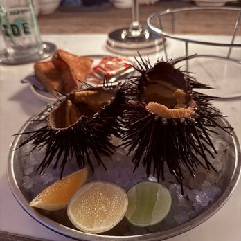 Ironside Fish & Oyster - Live Uni - Seafood Near Me - San Diego, California Ironside Fish & Oyster - Live Uni - Seafood Near Me - San Diego, California