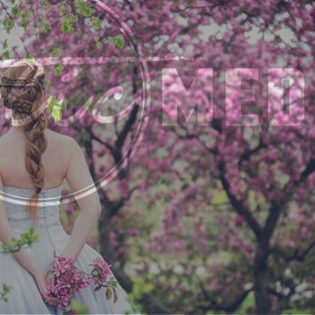 TLIC Media - Your wedding memories can be passed down to your kids in a beautiful video (In 4k!). - Videographers Near Me - Frederick, Maryland TLIC Media - Your wedding memories can be passed down to your kids in a beautiful video (In 4k!). - Videographers Near Me - Frederick, Maryland