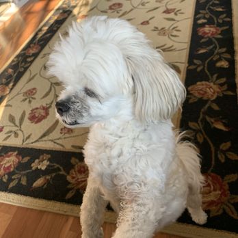 Our Home Dog Boarding - Princess - Pet Boarding Near Me - Maple Shade, New Jersey Our Home Dog Boarding - Princess - Pet Boarding Near Me - Maple Shade, New Jersey