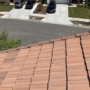 Handyman Duenas So-Cal - After added spikes - Handyman Near Me