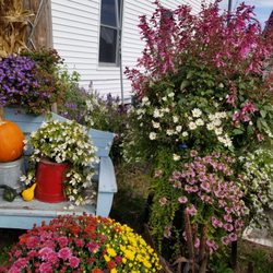 Joann's Gardens Potting Shed - Love this place!