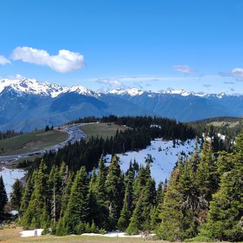 Evergreen Escapes - Tours Near Me - Seattle, Washington