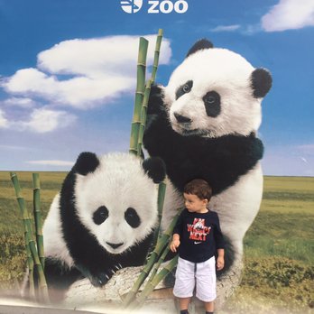 Toronto Zoo - Zoos Near Me - Toronto, Ontario Toronto Zoo - Zoos Near Me - Toronto, Ontario