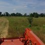 Photo of M&B Landscape Tree and Property Maintenance