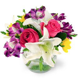 Fresh Flowers!