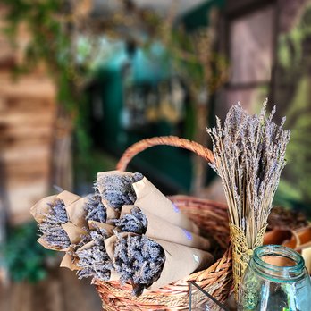 Enchanted Herb Shop - Herbal Shops Near Me - Galena, Illinois