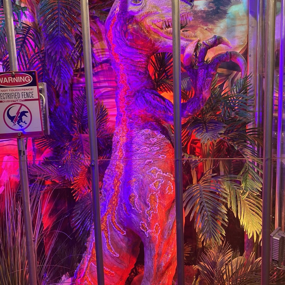 All Chocolate Kitchen - Chocolate dinosaur - Desserts Near Me - Geneva, Illinois
