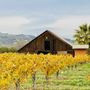 Photo of The Valley Wine Driver