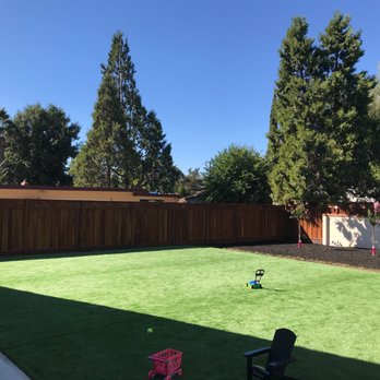 Prodigy Works Tree Service - Landscaping Near Me Prodigy Works Tree Service - Landscaping Near Me