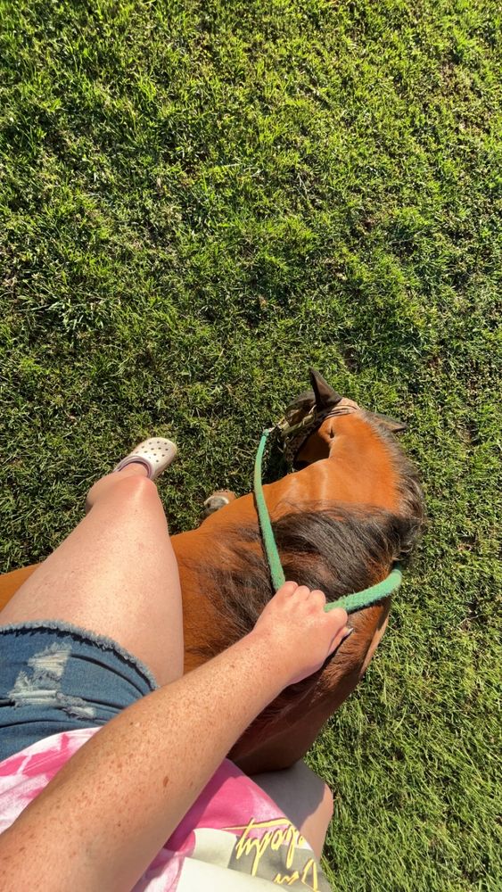 Spring Hill Stables - equestrian in Lexington, SC