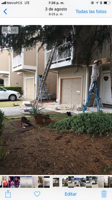 Exterior Home Painting Services - Feel free to browse through our projects.
