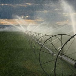 Specialty Sprinklers