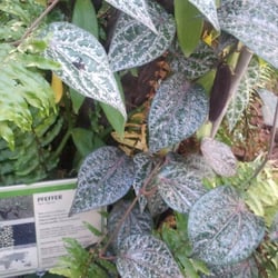 Botanischer Garten