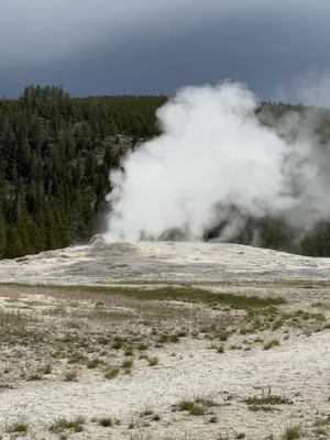 Old Faithful by null