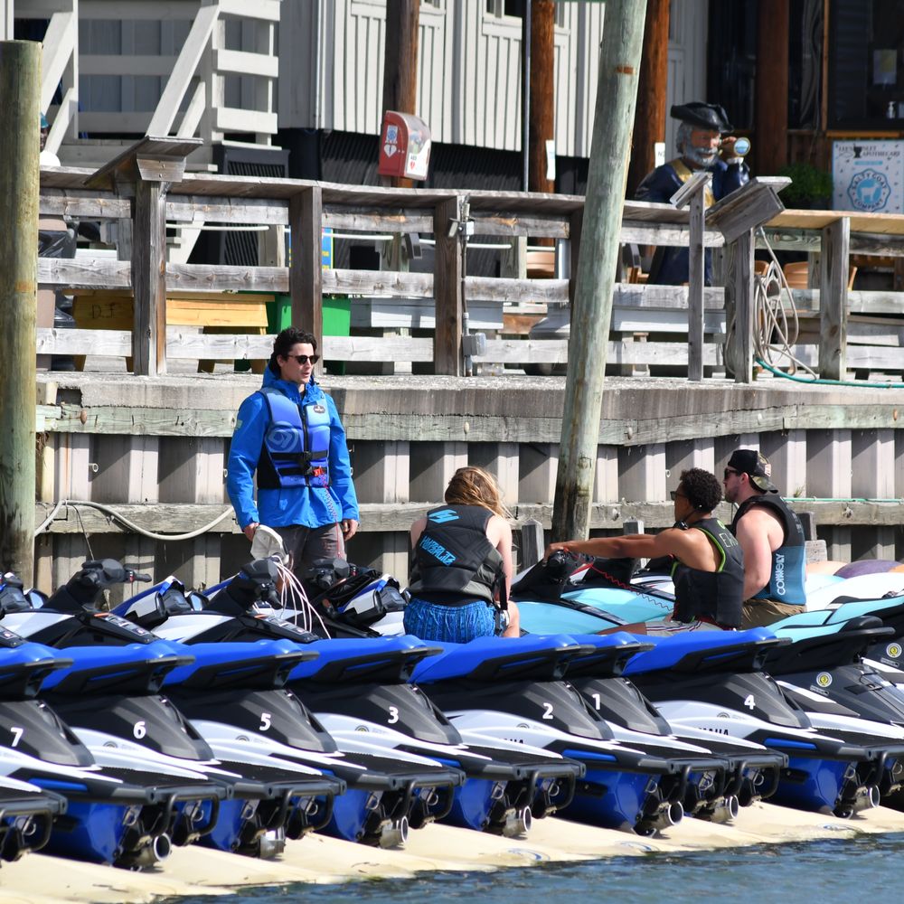 TOP 10 BEST Shark Diving near Murrells Inlet, SC - Updated 2025 - Yelp, image size:1000x1000