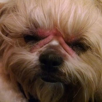Pet Partners - Pet Stores Near Me - Long Beach, California Pet Partners - Pet Stores Near Me - Long Beach, California