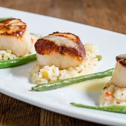 Harborside Restaurant - Seared Diver Scallops