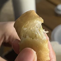 Crispy Spring Rolls