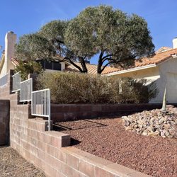 Star Landscape & Clean Up - Hedge & tree trim