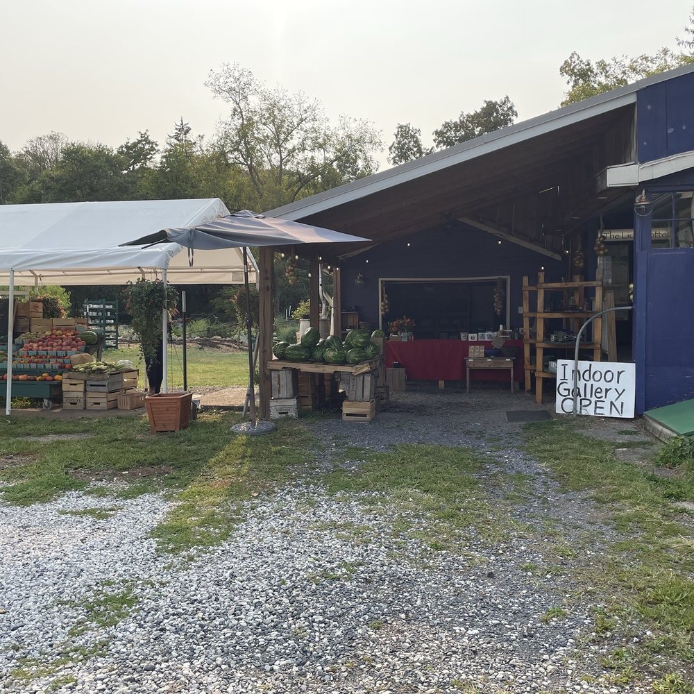 The Lion Potter - Potters Extetior - Farmers Market Near Me - Gettysburg, Pennsylvania