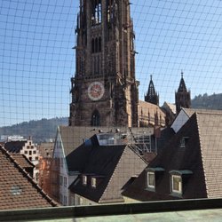 Freiburger Münster