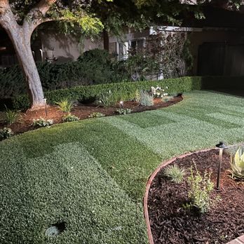 Caliscapes OC - Front Yard Design - Landscaping Near Me