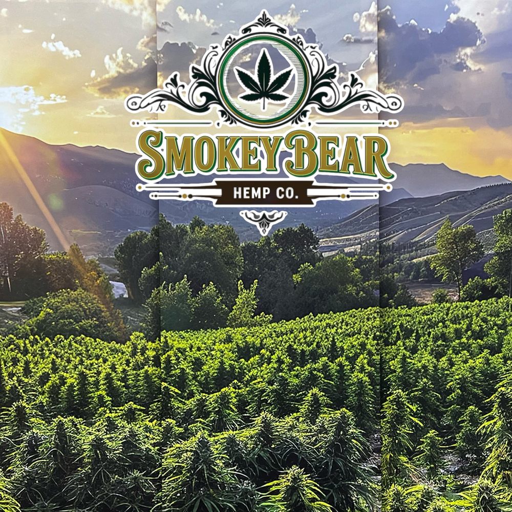 Smokey Bear Logo
