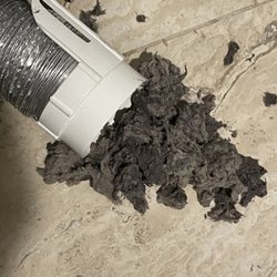 Wet lint extracted from clogged vent preventing airflow and causing condensation