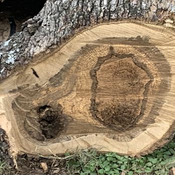 Chippers Tree Service - Tree Services Near Me - Grand Prairie, Texas Chippers Tree Service - Tree Services Near Me - Grand Prairie, Texas