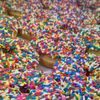 Donut Connection gift card