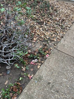 Dallas North Park Apartments