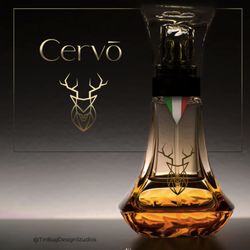 Brand design and photos