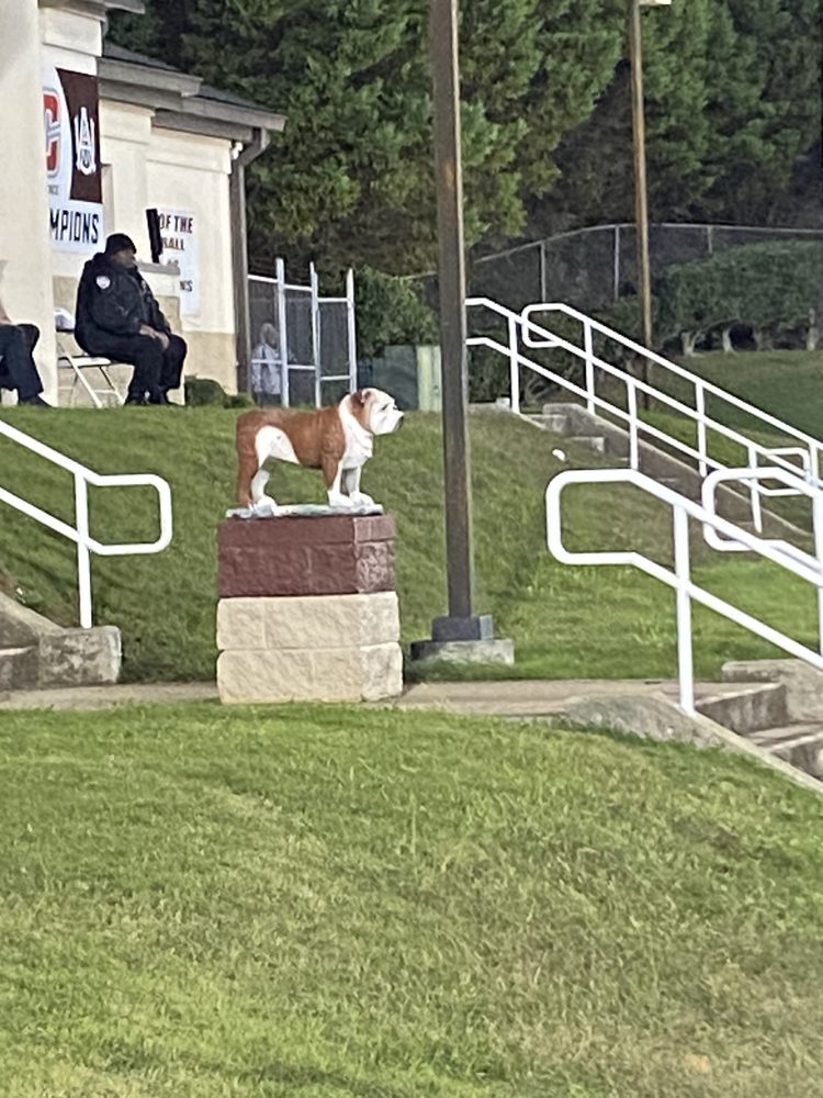 Social spots from Louis Crews Stadium