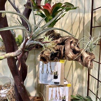 Armstrong Garden Centers - Nurseries & Gardening Near Me - Newport Beach, California