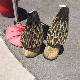 Heck yes, one of these gorgeous morel sculptures came home with me! Local artists make my heart happy!