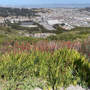 San Bruno Mountain State & County Park - Cow Palace. - Parks Near Me - Brisbane, California San Bruno Mountain State & County Park - Cow Palace. - Parks Near Me - Brisbane, California
