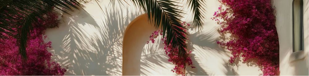 White Lotus - home care agency in Grand Rapids, MI