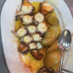 Ponzano - Pulpo gallicio