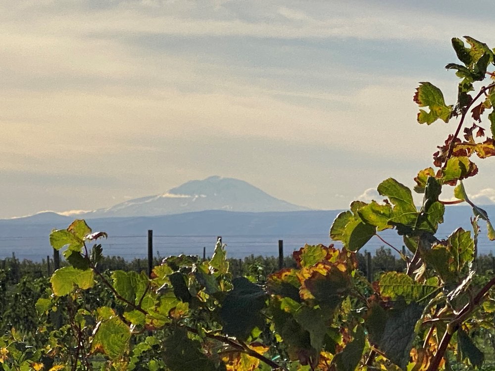 WHITMAN HILL WINERY 2911 Roza Dr, Zillah, Washington Wineries