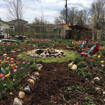 A Boulder Gardener - Landscaping Near Me - Boulder, Colorado