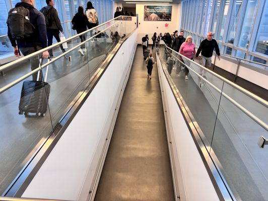 Terminal 4 by null
