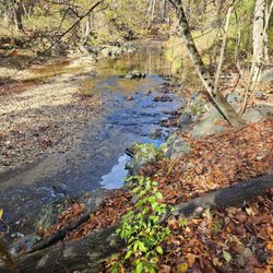 Little Paint Branch Park