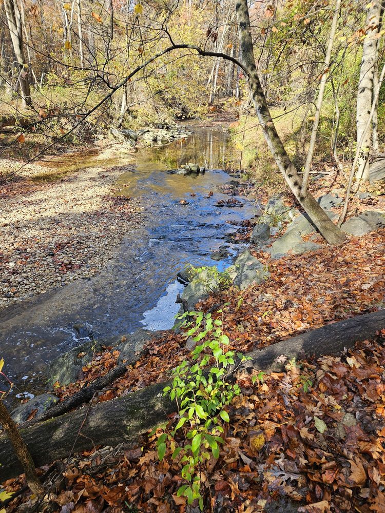 Little Paint Branch Park