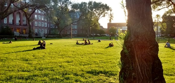 Brooklyn College by null