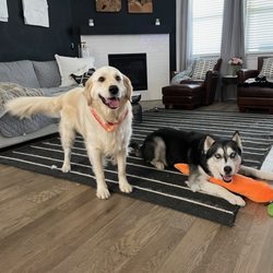 Leander Veterinary Clinic