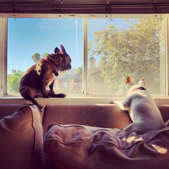 Animal Care Clinic - Veterinarians Near Me - El Cajon, California Animal Care Clinic - Veterinarians Near Me - El Cajon, California