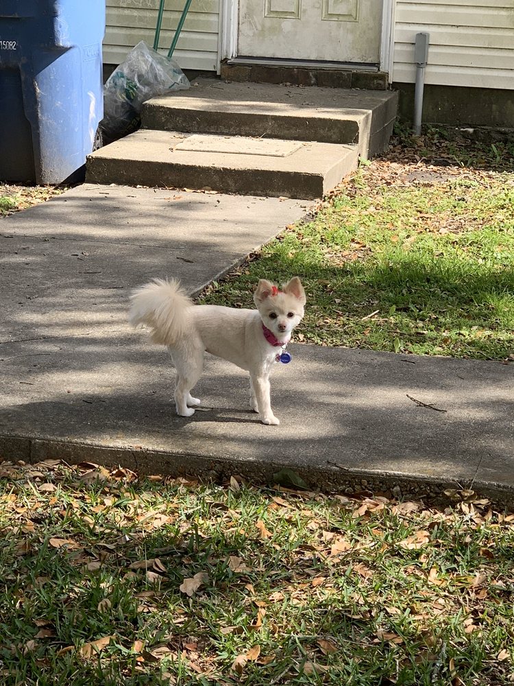 NATURE’S GROOM Updated April 2024 59 Photos 3958 Convention St